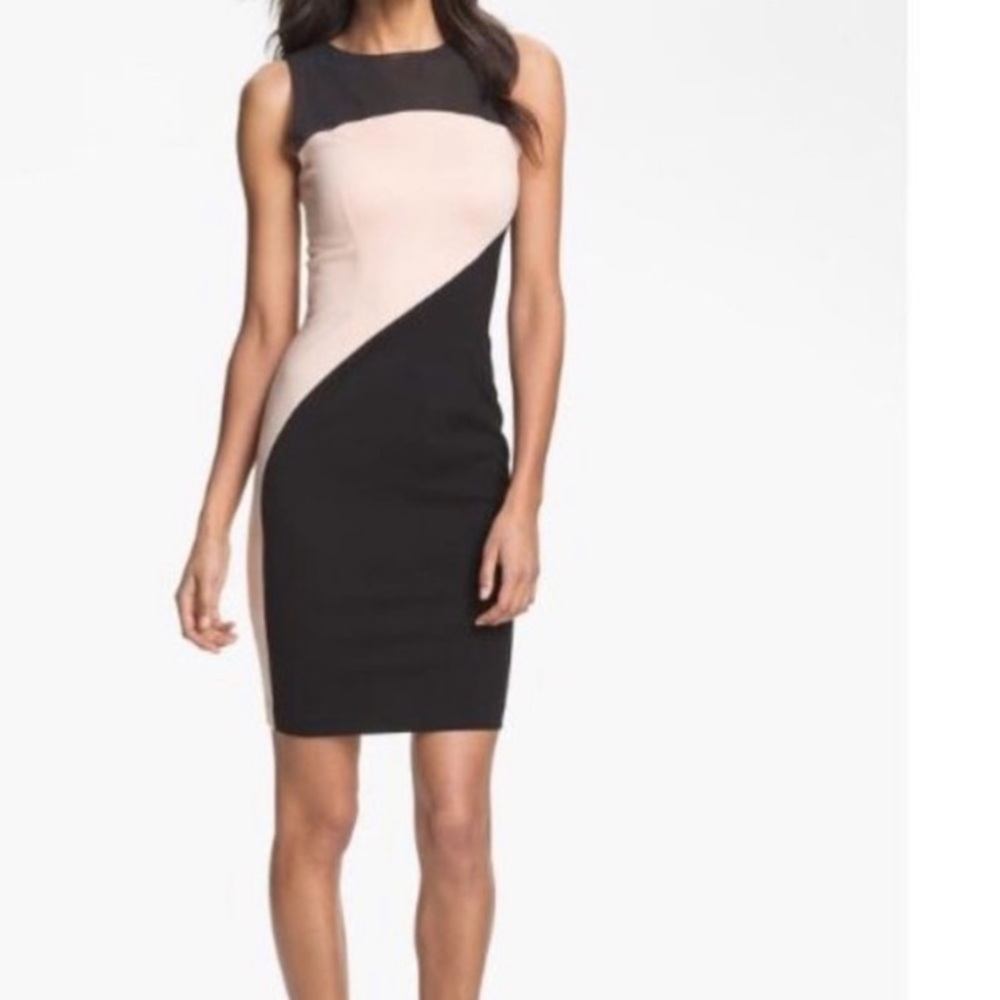 ERIN by Erin Fetherston Black and Pink Dress Size 2
